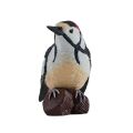 Mojo Greater Spotted Woodpecker