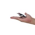 Mojo Greater Spotted Woodpecker