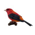 Mojo Scarlet Tanager