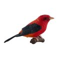 Mojo Scarlet Tanager