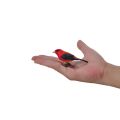 Mojo Scarlet Tanager