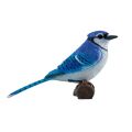 Mojo Blue Jay