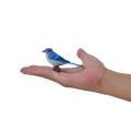Mojo Blue Jay