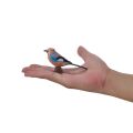 Mojo European Jay