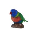 Mojo Rainbow Parrot