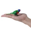 Mojo Rainbow Parrot