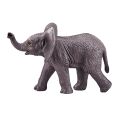 Mojo Elephant African elephant playing