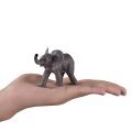 Mojo Elephant African elephant playing