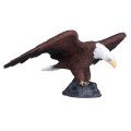 Mojo Bald Eagle