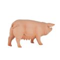 Mojo Sow