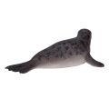 Mojo Cone-toothed Seal