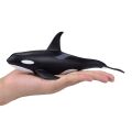 Mojo killer whale