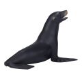 Mojo California sea lion