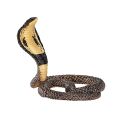 Mojo Royal Cobra