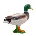 Mojo Mallard Duck