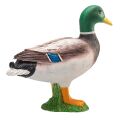 Mojo Mallard Duck