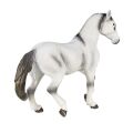 Mojo Andalusian horse grey