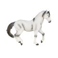Mojo Andalusian horse grey