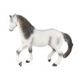 Mojo Andalusian horse grey