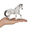 Mojo Andalusian horse grey