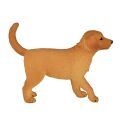 Mojo Golden Retriever puppy