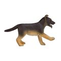 Mojo German Shepherd puppy