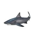 Mojo Whitetip Shark