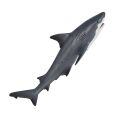 Mojo Whitetip Shark