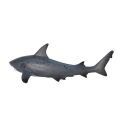 Mojo Whitetip Shark