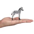 Mojo Zebra cub