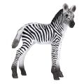 Mojo Zebra cub