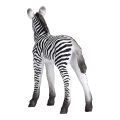 Mojo Zebra cub