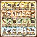 Magellan Board Game Woodwalkers