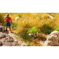 Noch PROFI Grass clump flowering set 25 pcs