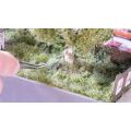 Noch PROFI Dry grass clump set 25 pcs