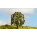 Noch Mourning Willow