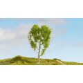 Noch Feather birch