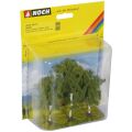 Noch Birch set of 3 pcs
