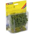 Noch Beech set of 2 pcs