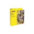Noch Concentrated paint natural shades set of 6 pcs