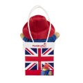 Rainbow Plush Paddington in gift bag