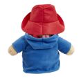 Rainbow Plush Paddington Large