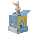 Rainbow Rabbit Peter in magic box