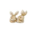 Rainbow Peter Rabbit first shoes set