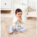 Rainbow Rattle Rabbit Peter