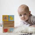 Petit Collage Milestone Cubes