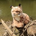 Rappa Plush sitting lynx 27 cm ECO-FRIENDLY