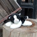 Rappa Plush cat white-black lying 16 cm ECO-FRIENDLY