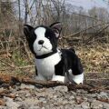 Rappa Plush dog French bulldog with leash standing 23 cm ECO-FRIENDLY