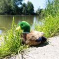 Rappa Plush duck 20 cm ECO-FRIENDLY